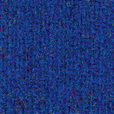 Pugirg Fenice 1224.jpg